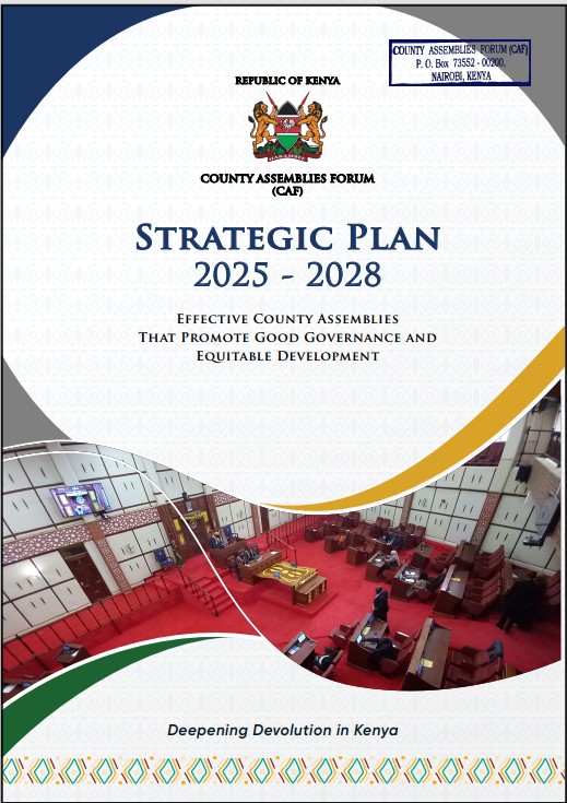 Strategic Plan 2025 - 2028